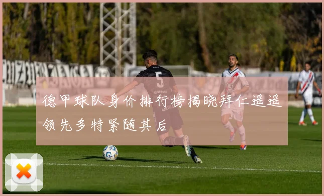 德甲球队身价排行榜揭晓拜仁遥遥领先多特紧随其后